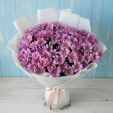 Букет цветов из:  Хризантемы в Южноуральске