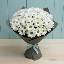 Букет цветов из:  Хризантемы в Южноуральске