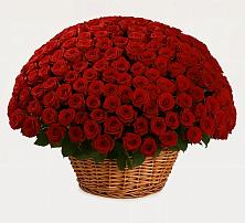 Премиум букет из: Розы #REPLACE_PRED# Южноуральске